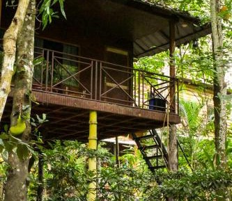 Deluxe Double or Twin Room with Garden View