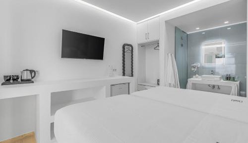 Deluxe Double or Twin Room with Garden View