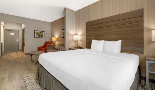 King Suite with Sofa Bed and Communication Assistance