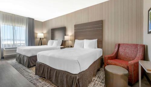 Queen Room with Two Queen Beds and Communication Assitance