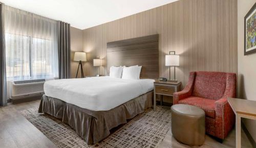 King Room with Walk-In Shower