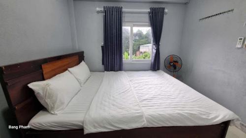 King Room with Garden View