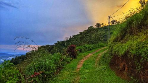 Double or Twin Room with Mountain View