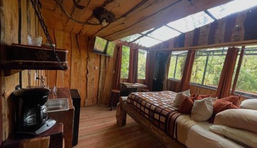 Suite with Terrace