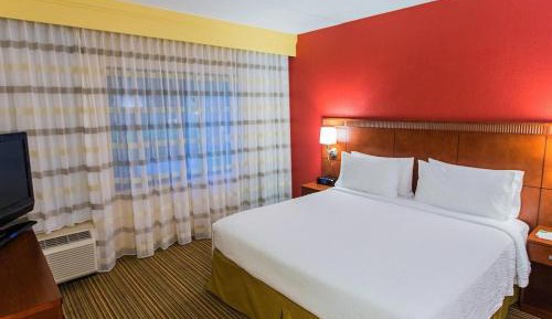 One-Bedroom King Suite with Sofa Bed and Balcony
