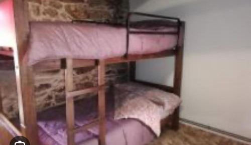 Bunk Bed in Mixed Dormitory Room
