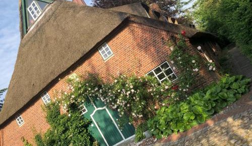 Superior One-Bedroom Apartment