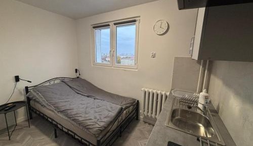 Two-Bedroom Family Apartment