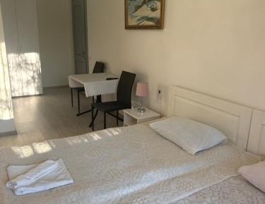 Deluxe Double or Twin Room with Mountain View