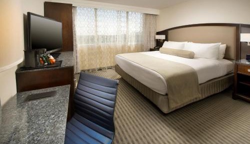 Standard King Room