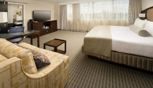 Large King Room with Sofa Bed