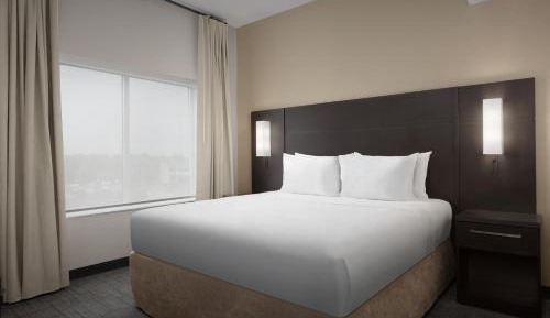 One-Bedroom King Suite with Sofa Bed 