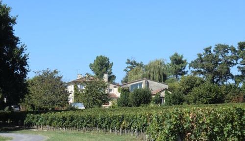 Double Room with Terrace