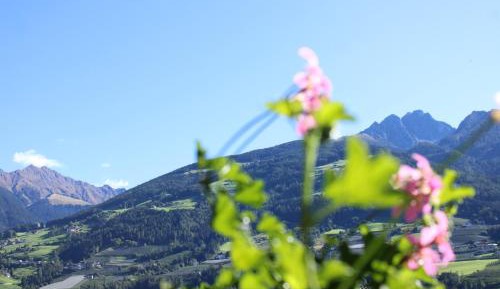 One-Bedroom Apartment with Mountain View
