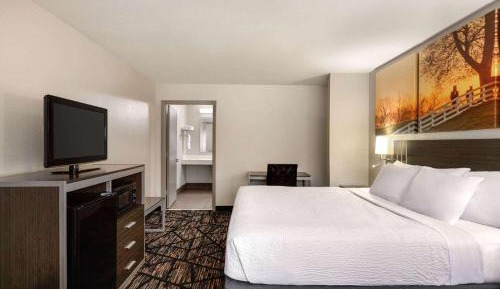 King Room with Roll-in Shower - Mobility Access/Non-Smoking