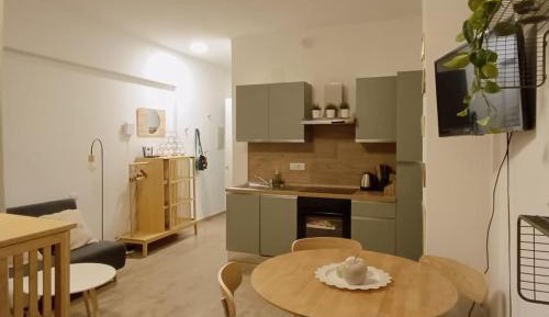 Studio Apartment
