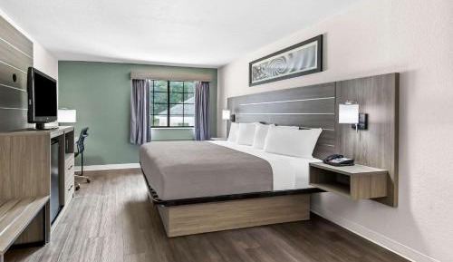 Standard King Room