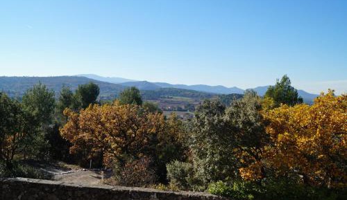 Superior Double Room with Shower