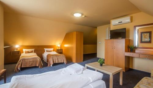 Basic Triple Room