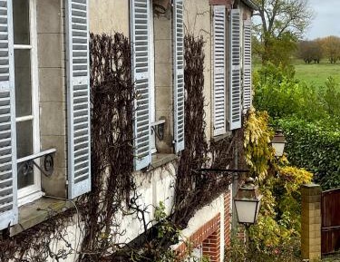 Apartment with Garden View