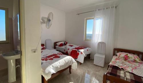 Basic Triple Room