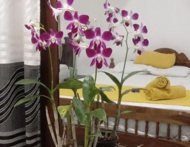 Family Room with Terrace