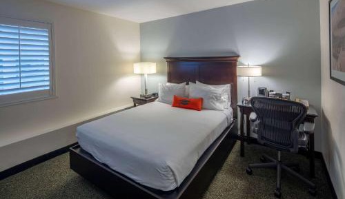 1 Queen Bed, Deluxe Mobility Accessible Room, Non-Smoking