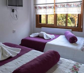 Standard Double or Twin Room with Garden View