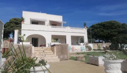 Studio with Sofa Bed