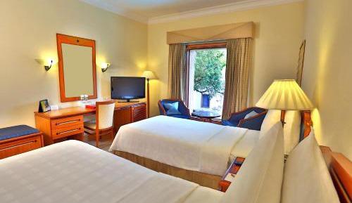 Fern Classic Room, 1 King Bed