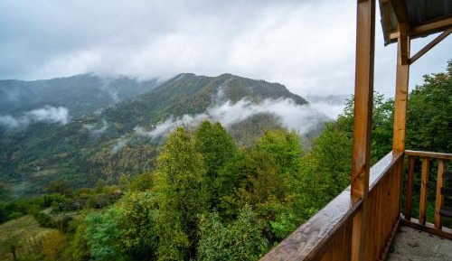 Standard Twin Room with Mountain View
