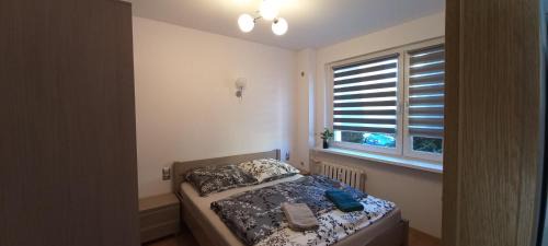 One-Bedroom Apartment with Balcony