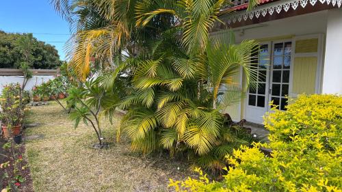 Three-Bedroom Home