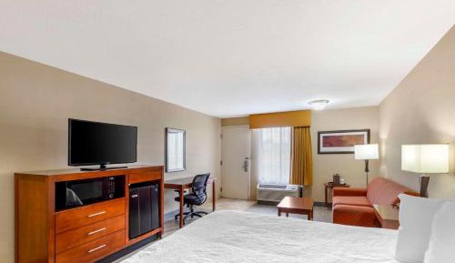 King Room with Sofa Bed-Pet Friendly