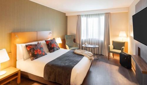 Superior Room with 1 Double Bed