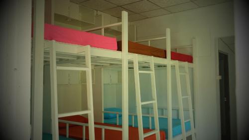 Single Bed in Mixed Dormitory Room