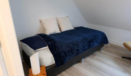 Single Room with Shared Shower and Toilet