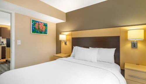Efficiency Queen Suite with Living room - Non Smoking