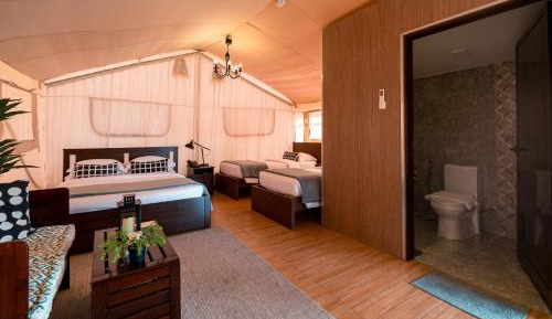 Safari Suite Tent
