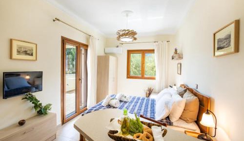Studio with Terrace