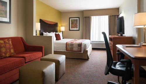 King Studio with Sofa Bed and Roll-in Shower - Mobility and Hearing Accessible