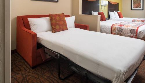 Queen Studio with Sofa Bed and Roll-in Shower - Mobility and Hearing Accessible