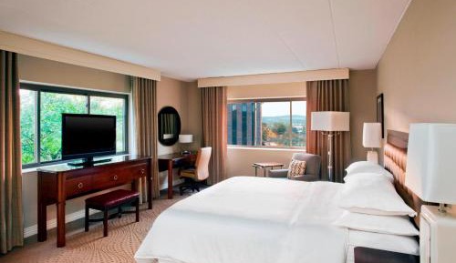Traditional, Guest room, 1 King