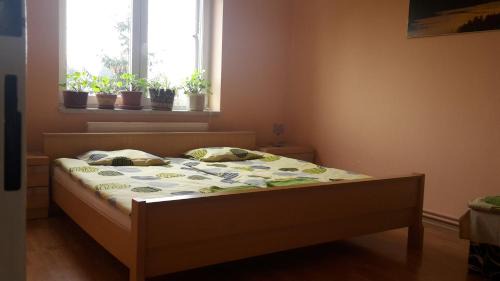 Superior One-Bedroom Apartment