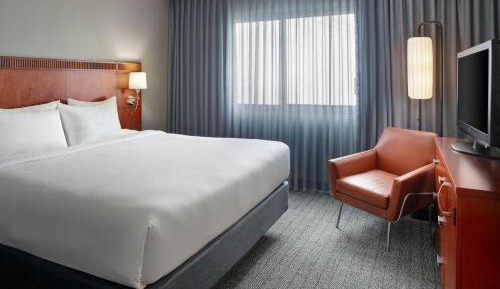 1 Bedroom 2 room Suite, 1 King, Sofa bed