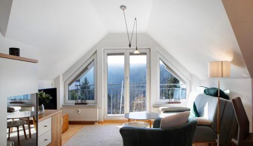 Superior One-Bedroom Apartment with Balcony