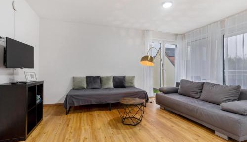 Superior One-Bedroom Apartment with Balcony