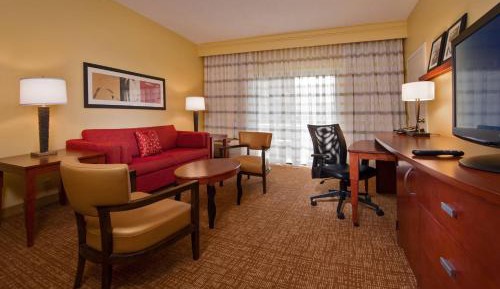 Suite, 1 King, Sofa bed