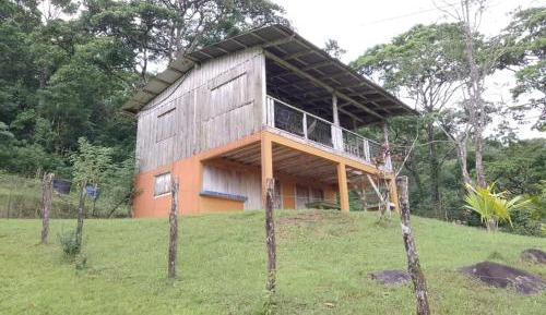 Family Suite with Balcony