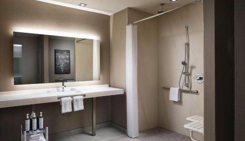 King Room with Sofa Bed and Transfer Shower - Mobility Accessible